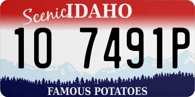 ID license plate 1O7491P