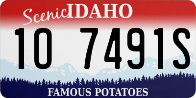 ID license plate 1O7491S