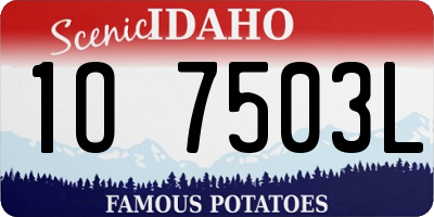 ID license plate 1O7503L