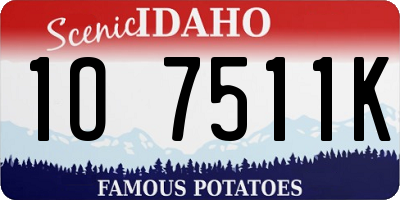 ID license plate 1O7511K