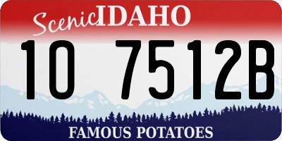 ID license plate 1O7512B