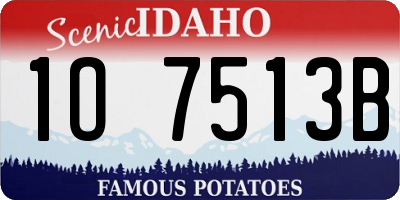 ID license plate 1O7513B