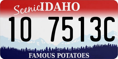 ID license plate 1O7513C