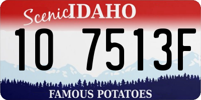 ID license plate 1O7513F
