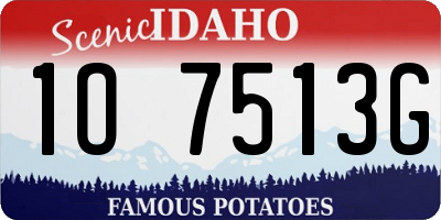 ID license plate 1O7513G