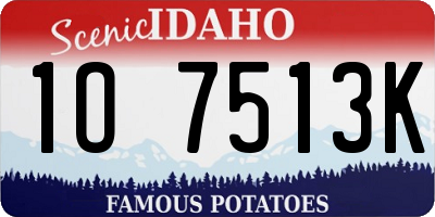 ID license plate 1O7513K