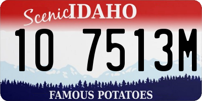 ID license plate 1O7513M