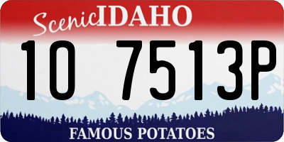 ID license plate 1O7513P