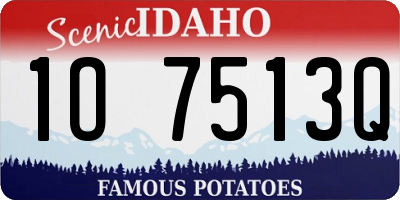 ID license plate 1O7513Q