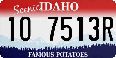 ID license plate 1O7513R