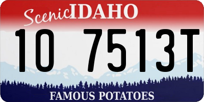 ID license plate 1O7513T