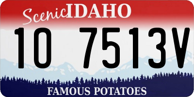 ID license plate 1O7513V
