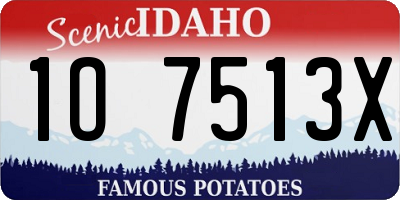ID license plate 1O7513X