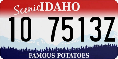 ID license plate 1O7513Z