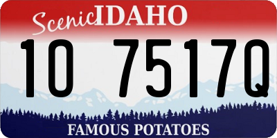 ID license plate 1O7517Q