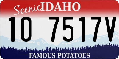 ID license plate 1O7517V