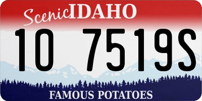 ID license plate 1O7519S