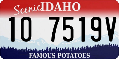 ID license plate 1O7519V