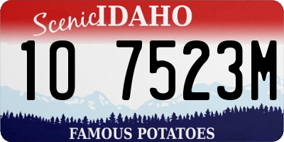 ID license plate 1O7523M