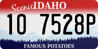 ID license plate 1O7528P