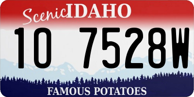 ID license plate 1O7528W