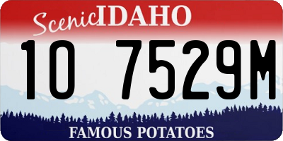 ID license plate 1O7529M