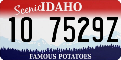 ID license plate 1O7529Z
