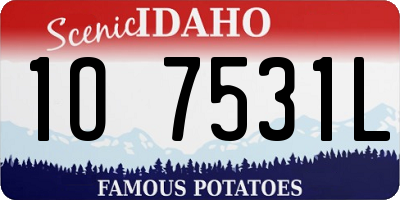 ID license plate 1O7531L
