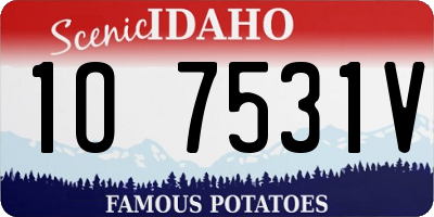 ID license plate 1O7531V