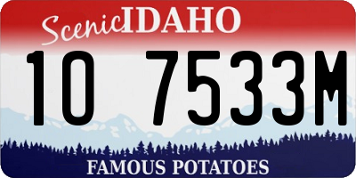 ID license plate 1O7533M