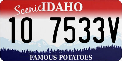 ID license plate 1O7533V