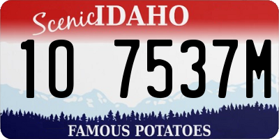 ID license plate 1O7537M