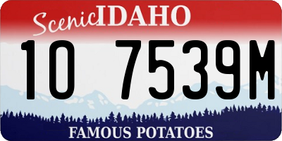 ID license plate 1O7539M
