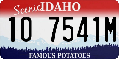 ID license plate 1O7541M