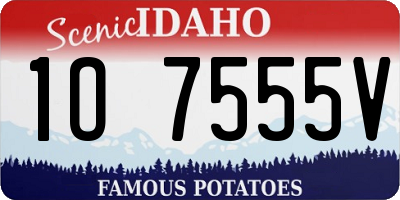 ID license plate 1O7555V