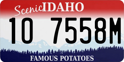 ID license plate 1O7558M
