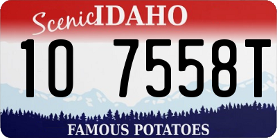 ID license plate 1O7558T