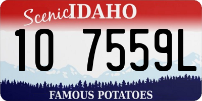 ID license plate 1O7559L