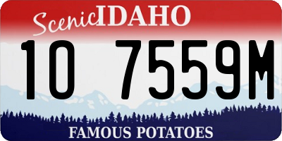 ID license plate 1O7559M