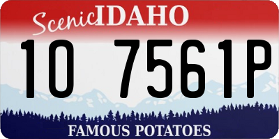 ID license plate 1O7561P