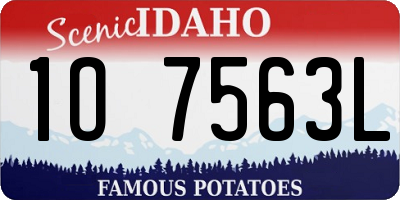 ID license plate 1O7563L