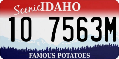 ID license plate 1O7563M