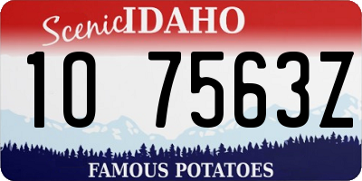 ID license plate 1O7563Z