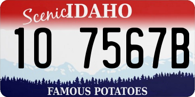ID license plate 1O7567B