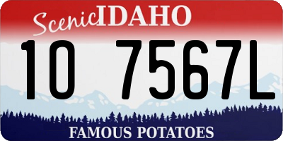 ID license plate 1O7567L