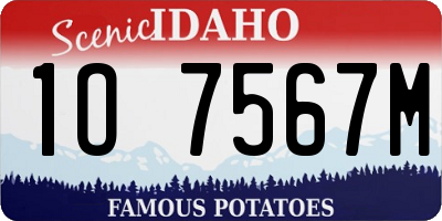 ID license plate 1O7567M