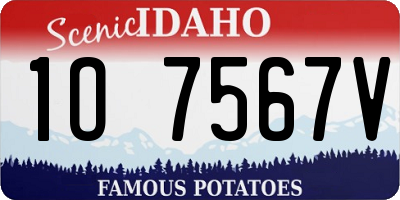 ID license plate 1O7567V