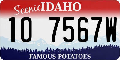 ID license plate 1O7567W