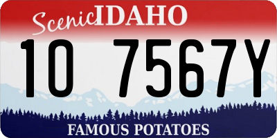 ID license plate 1O7567Y