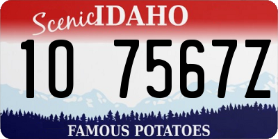 ID license plate 1O7567Z